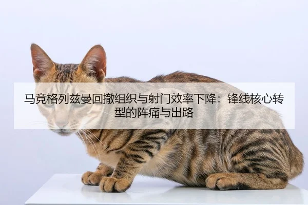 ma-jing-ge-lie-zi-man-hui-che-zu-zhi-yu-she-men-xiao-lv-xia-jiang-feng-xian-he-xin-zhuan-xing-de-zhen-tong-yu-chu-lu-2-519.jpg