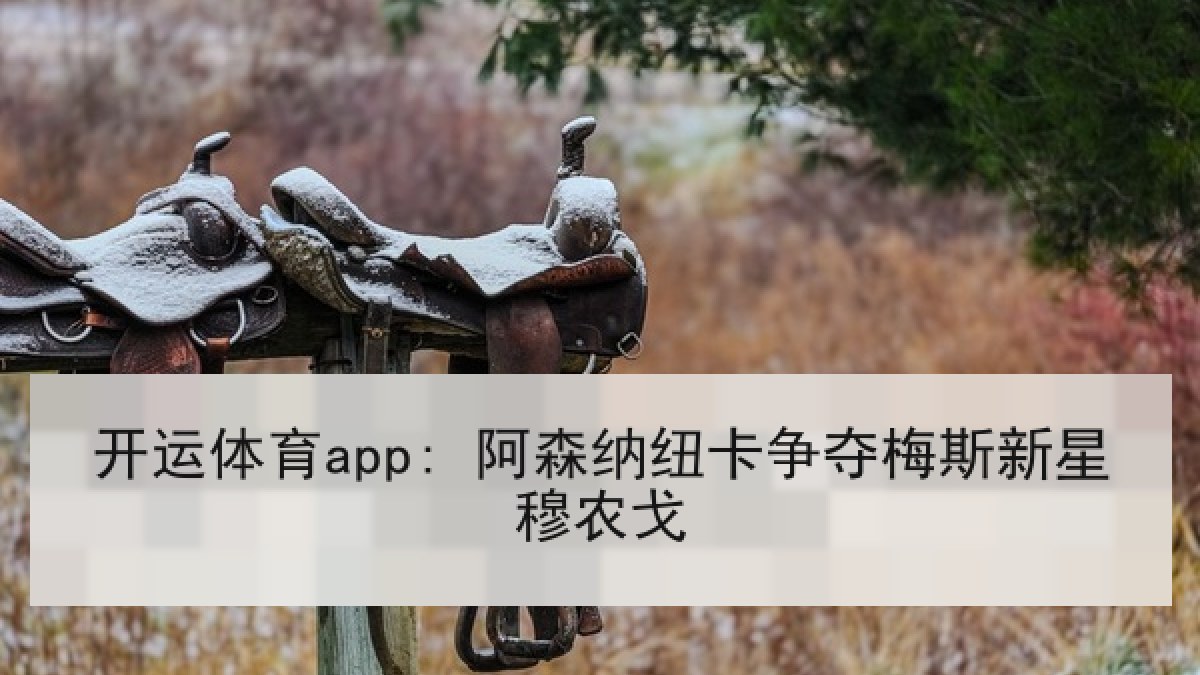 开运体育app: 阿森纳纽卡争夺梅斯新星穆农戈