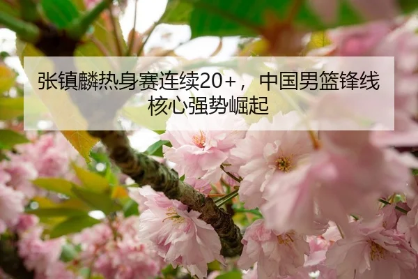张镇麟热身赛连续20+，中国男篮锋线核心强势崛起